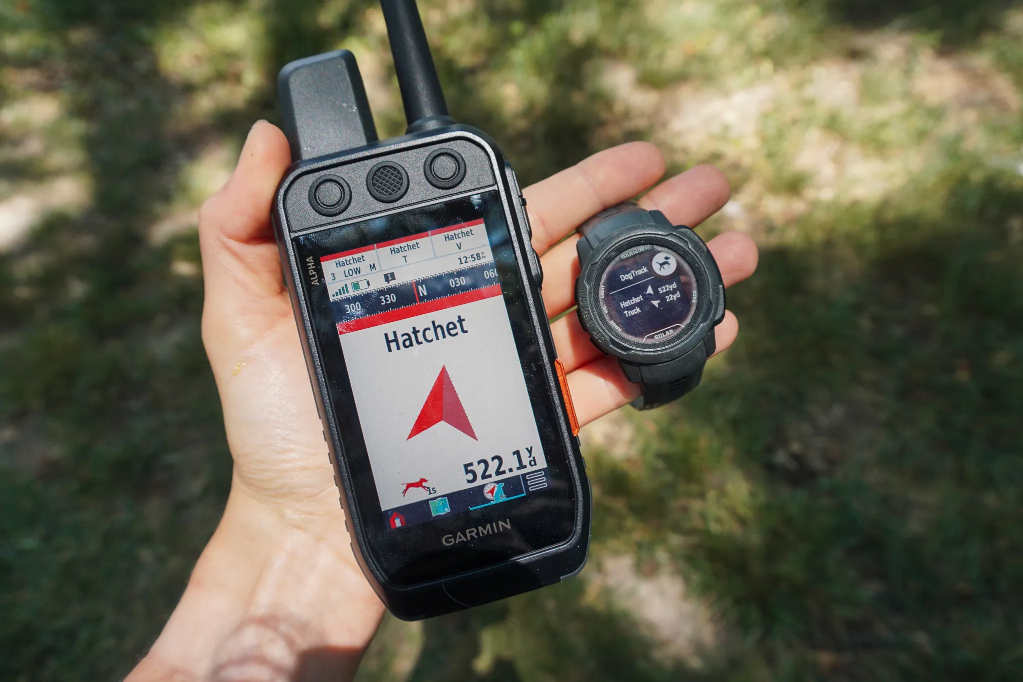 Best GPS Trackers for Hunting Dogs 2025 – Stay on Track in the Field