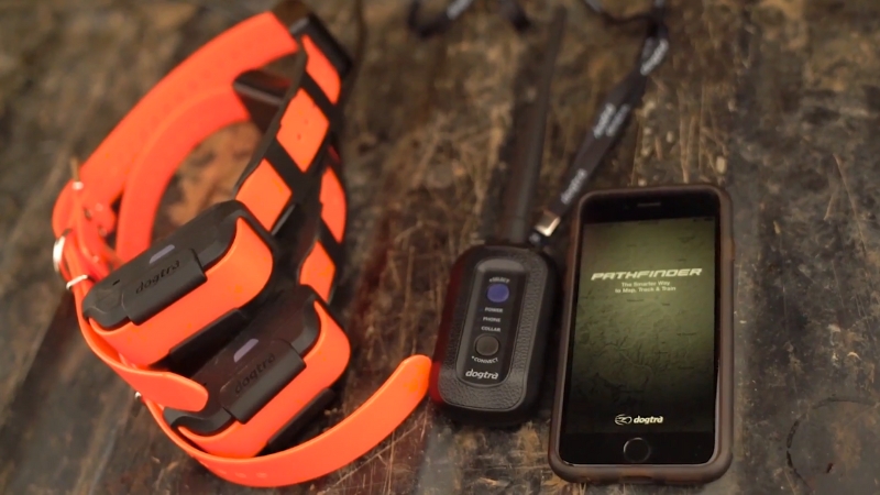 GPS tracker system with two Dogtra e-collars, a remote, and a smartphone