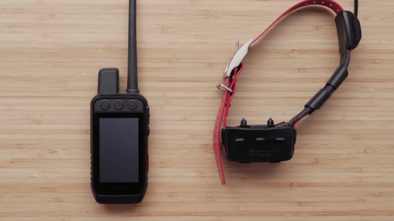 A GPS handheld device and a training e-collar are placed side by side on a wooden surface