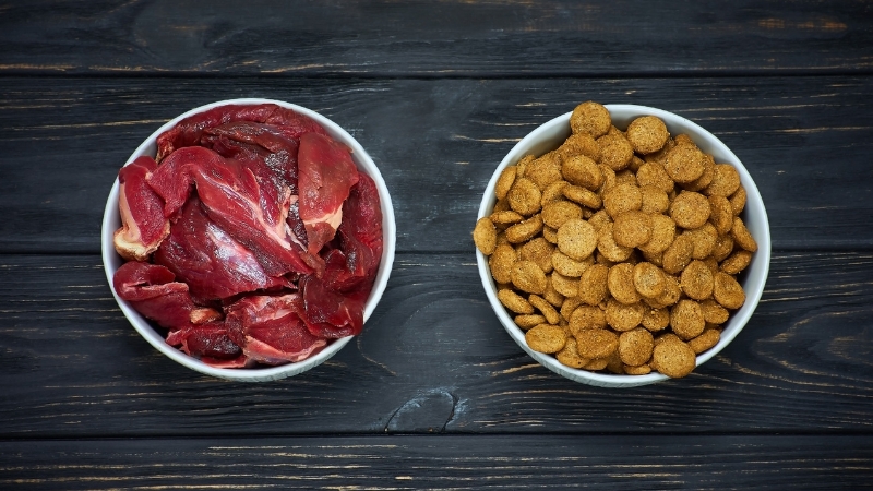 Two bowls show raw meat and dry kibble side by side, illustrating a mixed feeding approach for dogs